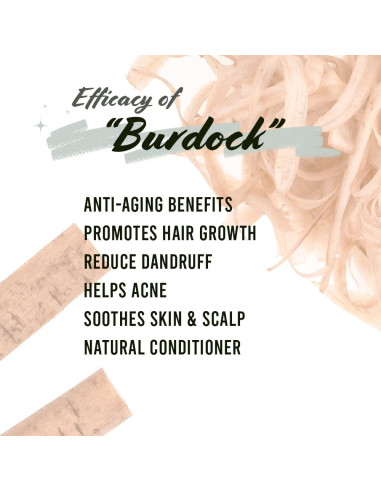 Raíz de Bardana Secada Well's 53.86 g 100% Natural para Aceite DIY