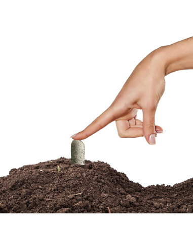 Picos de Fertilizante Orgánico Jobe's para Frutas y Cítricos - 6 Unidades