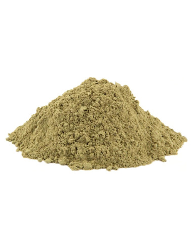 Polvo de Eucalipto Seco NY Spice Shop 0.45 kg - Natural y Puro