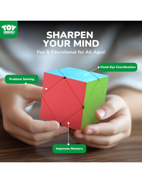 Conjunto de Cubos Mágicos STEAM Life 10 Piezas - Rompecabezas
