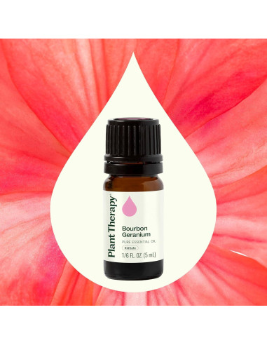 Aceite Esencial de Geranio Bourbon 100% Puro 5 mL Plant Therapy