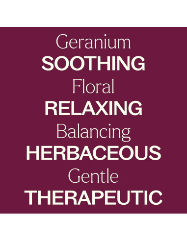 Aceite Esencial de Geranio Bourbon 100% Puro 5 mL Plant Therapy