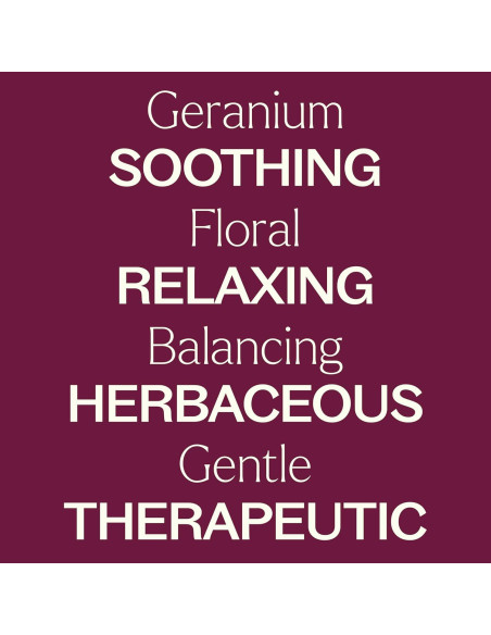 Aceite Esencial de Geranio Bourbon 100% Puro 5 mL Plant Therapy