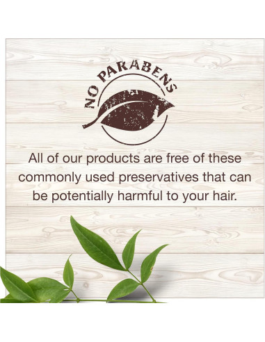 Acondicionador sin enjuague Garnier Whole Blends 150 ml - Aceite de Argán y Camelia