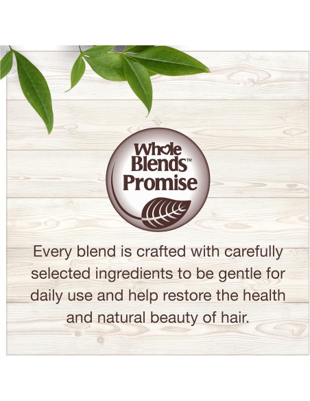 Acondicionador sin enjuague Garnier Whole Blends 150 ml - Aceite de Argán y Camelia