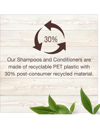 Acondicionador sin enjuague Garnier Whole Blends 150 ml - Aceite de Argán y Camelia