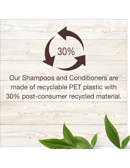 Acondicionador sin enjuague Garnier Whole Blends 150 ml - Aceite de Argán y Camelia