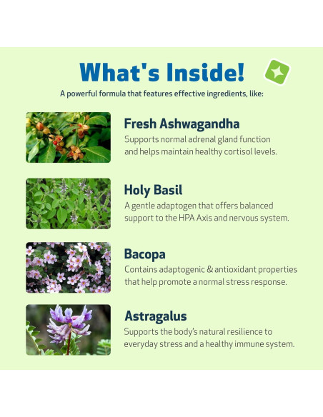 Suplemento Herbal Adrenal Harmony Gold Pet Wellbeing 59 ml