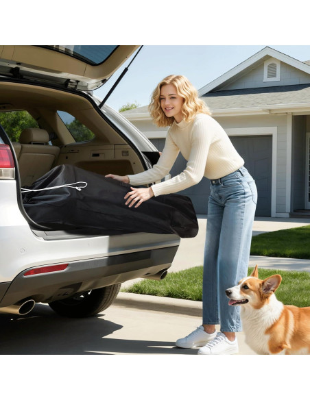 Carrito Plegable para Mascotas Magshion Negro hasta 10 kg