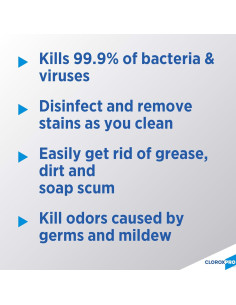 CloroxPro Limpiador Desinfectante con Lejía Spray 946ml 2