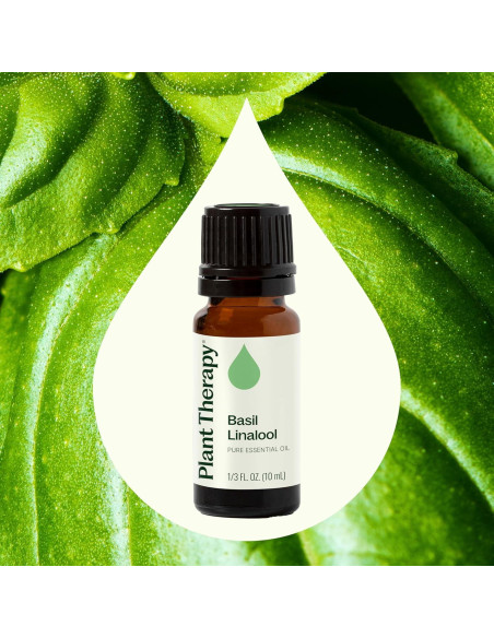Aceite Esencial de Albahaca Linalool 10 mL Plant Therapy 100% Puro