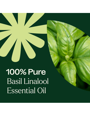 Aceite Esencial de Albahaca Linalool 10 mL Plant Therapy 100% Puro