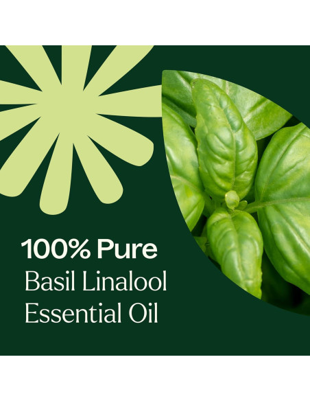 Aceite Esencial de Albahaca Linalool 10 mL Plant Therapy 100% Puro