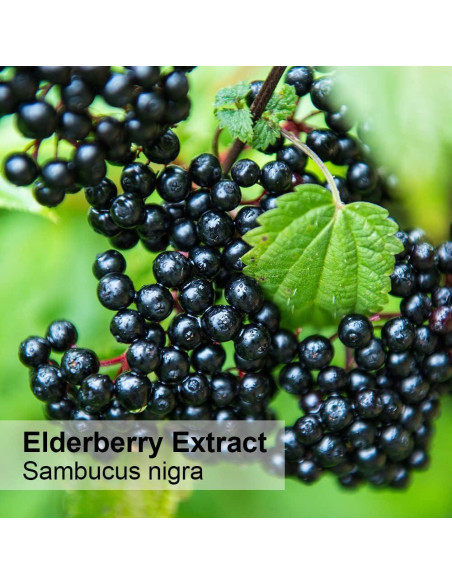 Extracto de Saúco Orgánico Dr Joe Lab 113.4 ml - Hidratante Piel y Cabello