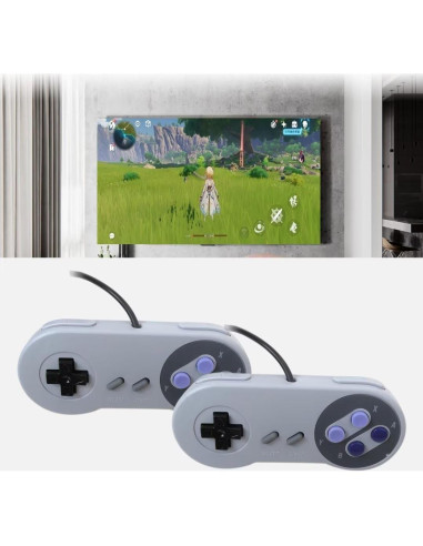 Paquete de 2 Gamepads con Cable para Nintendo SNES Gris