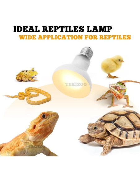 Bombillas de Calor Diurna TEKIZOO 100W para Reptiles y Anfibios