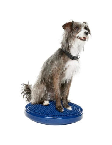 Disco de Equilibrio FitPAWS 35.56 cm Azul - Ejercicio y Rehabilitación