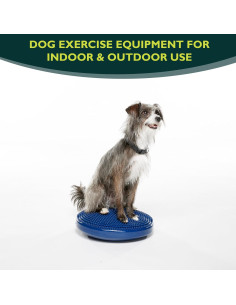 Disco de Equilibrio FitPAWS 35.56 cm Azul - Ejercicio y Rehabilitación 2