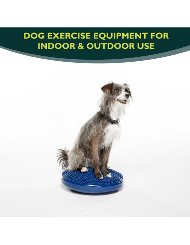 Disco de Equilibrio FitPAWS 35.56 cm Azul - Ejercicio y Rehabilitación