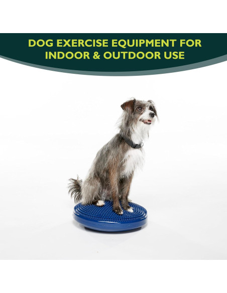 Disco de Equilibrio FitPAWS 35.56 cm Azul - Ejercicio y Rehabilitación