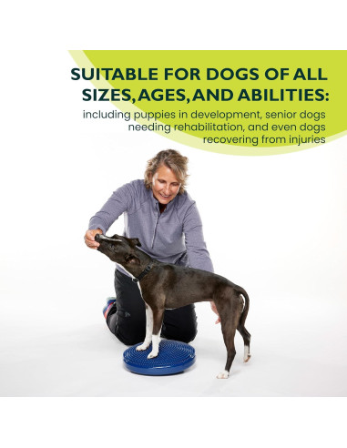Disco de Equilibrio FitPAWS 35.56 cm Azul - Ejercicio y Rehabilitación