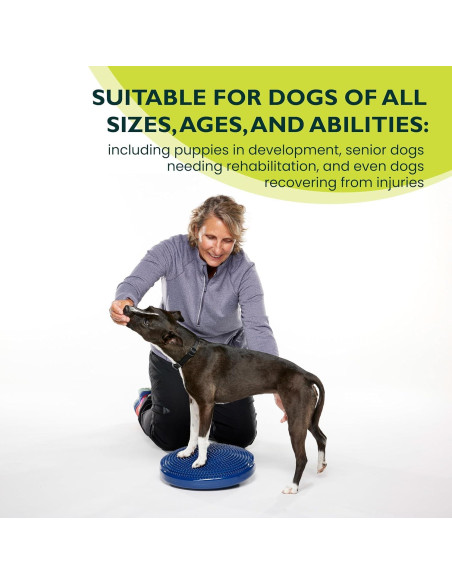 Disco de Equilibrio FitPAWS 35.56 cm Azul - Ejercicio y Rehabilitación