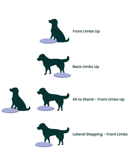 Disco de Equilibrio FitPAWS 35.56 cm Azul - Ejercicio y Rehabilitación