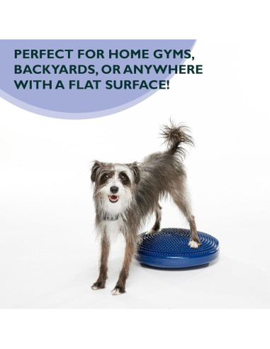 Disco de Equilibrio FitPAWS 35.56 cm Azul - Ejercicio y Rehabilitación