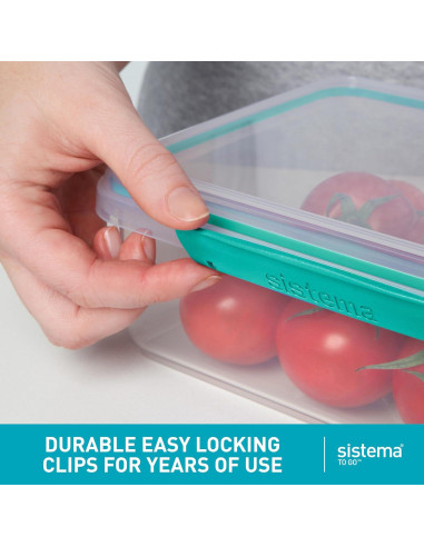 Bento Box Cubes Sistema 1.25 L Mediano Verde Menta y Azul