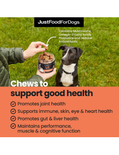 Suplemento Multifuncional 10-en-1 JustFoodForDogs 299g 2
