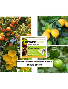 Espiga Power para Árboles Cítricos JVH 93307 - Fertilizante Efectivo 2