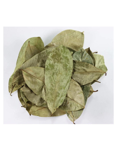 Hojas de Soursop Secas NY Spice Shop - 113.4 Gramos