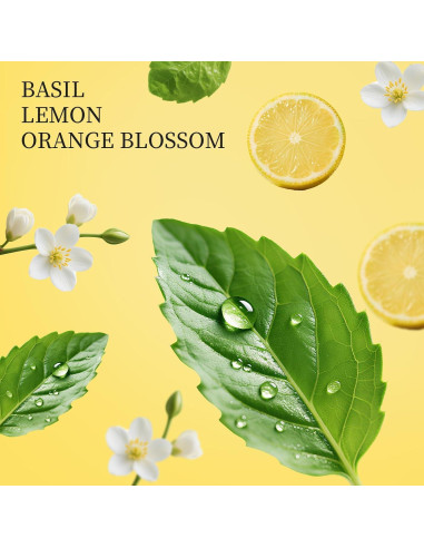 Spray Desinfectante para Manos Touchfeel 28ml Cítrico Herbal