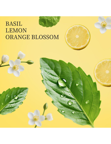 Spray Desinfectante para Manos Touchfeel 28ml Cítrico Herbal