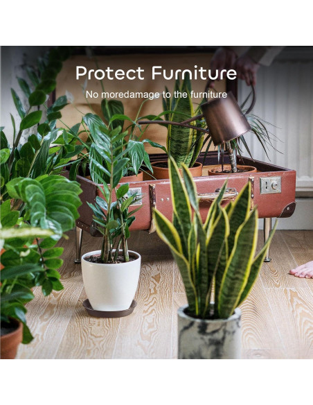 Bandejas de Goteo para Plantas GROWNEER 8" 6 Piezas Marrón