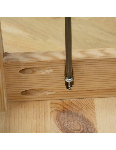 Tornillos de Agujero de Bolsillo Trend 31.75mm - Paquete 500