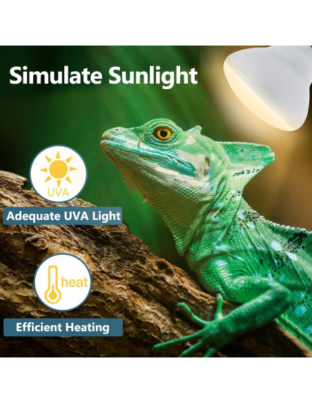 Bombilla de Calor para Reptiles LUCKY HERP 150W UVA 1 Paquete