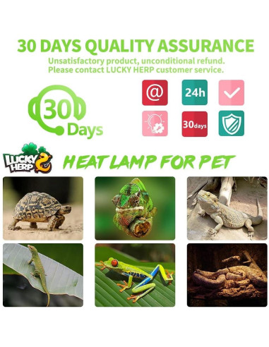Bombilla de Calor para Reptiles LUCKY HERP 150W UVA 1 Paquete