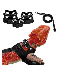 Juego de 3 arneses ajustables HJZHII para dragón barbudo