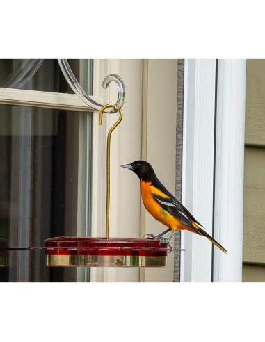 Alimentador de Colibríes Birds Choice Hummerfest 354ml