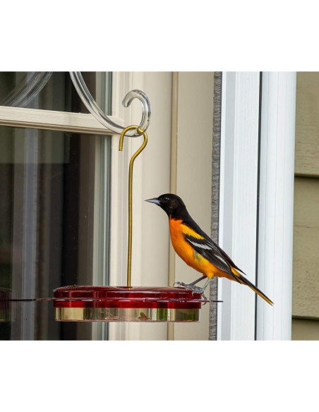 Alimentador de Colibríes Birds Choice Hummerfest 354ml