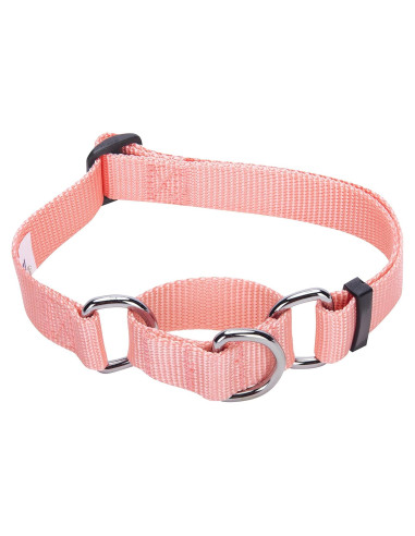Collar de Entrenamiento Martingale Blueberry Pet Pequeño Rosa