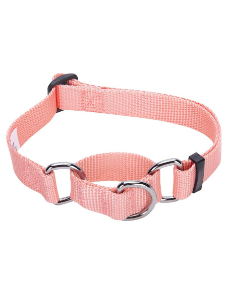 Collar de Entrenamiento Martingale Blueberry Pet Pequeño Rosa