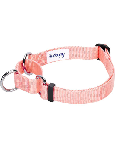 Collar de Entrenamiento Martingale Blueberry Pet Pequeño Rosa