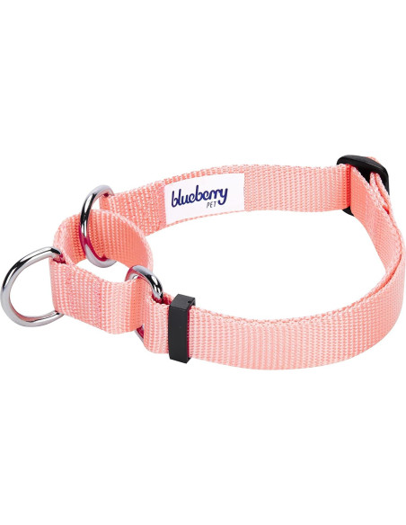 Collar de Entrenamiento Martingale Blueberry Pet Pequeño Rosa