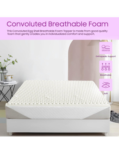 Capa de Colchón Mayton 1 Pulgada Convoluta Twin Espuma Blanca