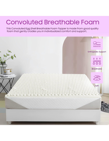 Capa de Colchón Mayton 1 Pulgada Convoluta Twin Espuma Blanca