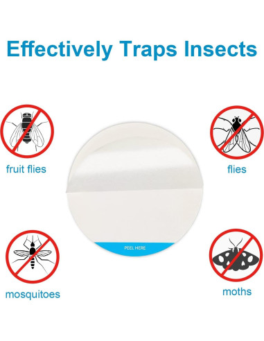 Paquete de 12 Tableros de Pegamento Shootingstar 8.64 cm para Insectos