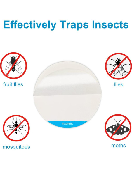 Paquete de 12 Tableros de Pegamento Shootingstar 8.64 cm para Insectos