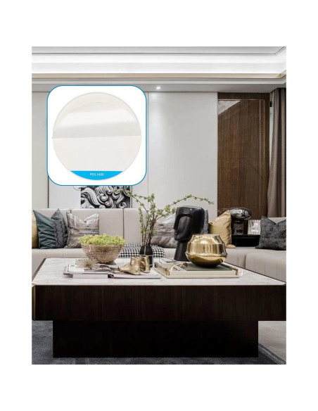 Paquete de 12 Tableros de Pegamento Shootingstar 8.64 cm para Insectos